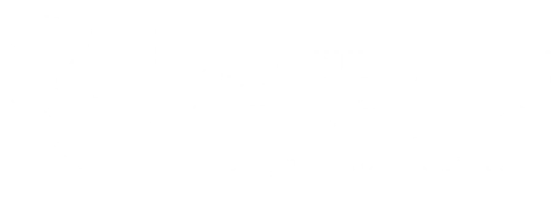 鹤翼行动 标志横向组合 · 白色版